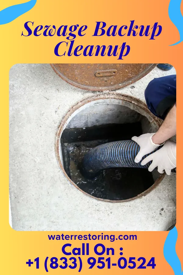 Sewage Backup Cleanup in Hessmer, LA
