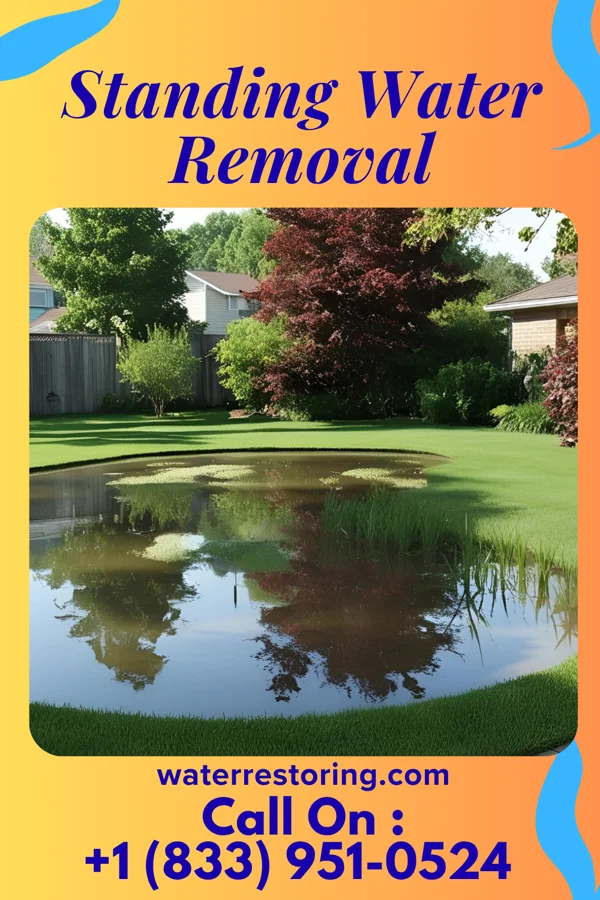 Standing Water Removal in Hessmer, LA